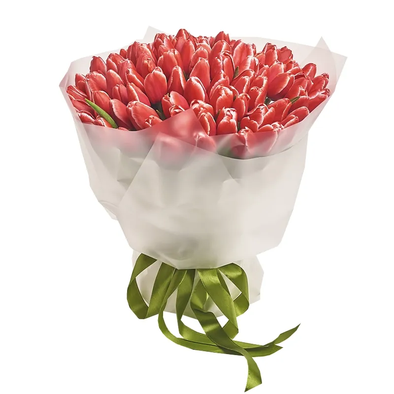 Букет из 101 красно-белого тюльпана