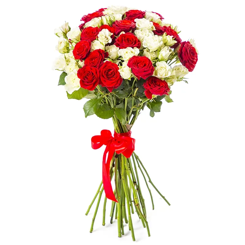 Букет из 25 красных и белых кустовых роз